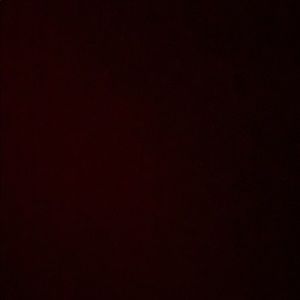 Meet your Posher, Gianna